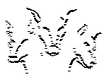 kerberos