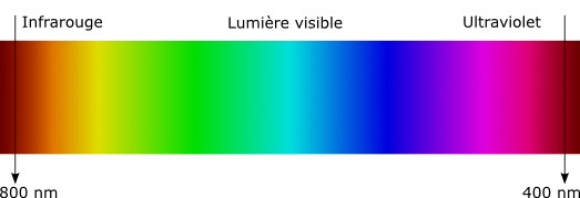 Le spectre visible